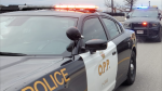 Ontario Provincial Police vehicles at an investigation scene. (Source: OPP/File Image)