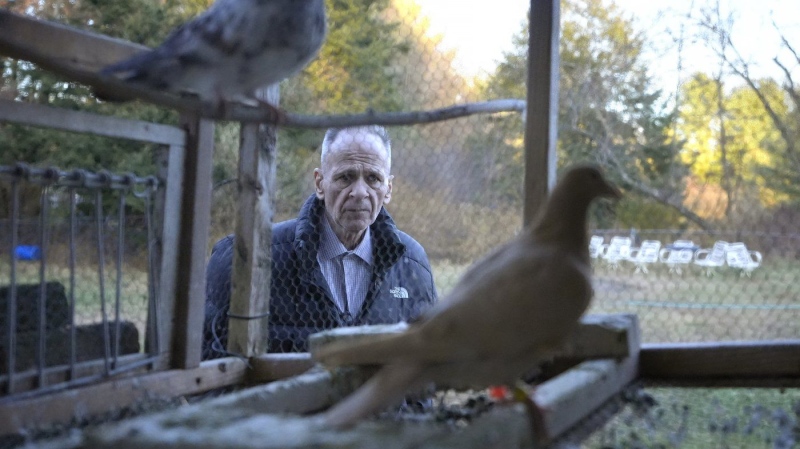 Michael Sullivan, 64, of Lowell, Mass., who was convicted of murder and armed robbery in 1987 and spend years in jail before being ruled innocent, stands near his pigeons at the home of his sister, Wednesday, Nov. 20, 2024, in Billerica, Mass. (AP Photo/Steven Senne)