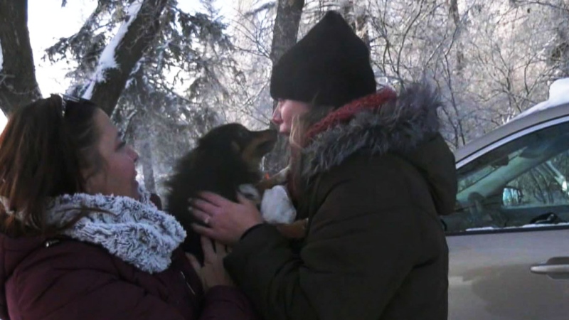 CTV National News: Dog reunited with owner