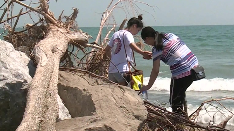 Hundreds of balloons picked up at Pelee Island