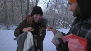 CTV National News: Lost dog returns home