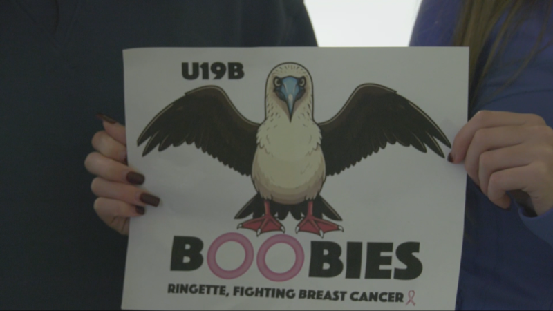 A sign made for "The Boobies," the unofficial name for a ringette team in Ottawa that has raised some eyebrows. (Katelyn Wilson/CTV News Ottawa)