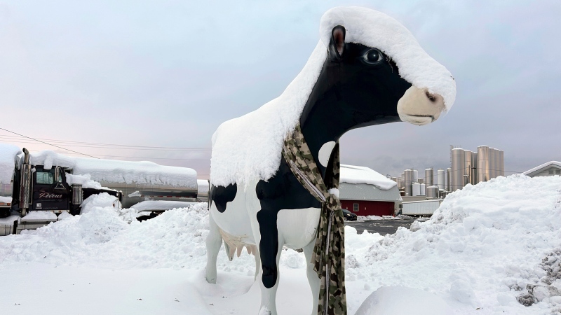 Snow falls in Lowville, N.Y., on Sunday Dec, 1, 2024. (AP Photo/Cara Anna)
