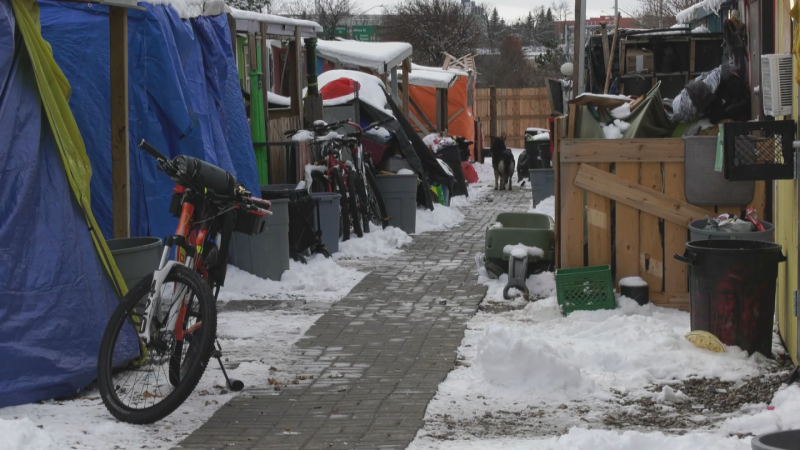 Shelters stand in the snow at A Better Tent City in Kitchener on Dec. 2, 2024. (Jeff Pickel/CTV News)