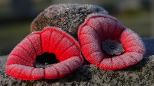 A 19-year-old from Kirkland Lake has been charged after a Royal Canadian Legion branch in the community reported someone stole poppies and donations. (File)