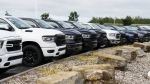 Pickup trucks are pictured at an automotive dealership in Ottawa on Friday, Aug. 11, 2023. THE CANADIAN PRESS/Sean Kilpatrick