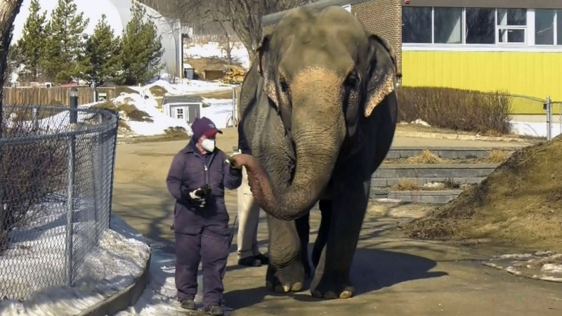 Lucy the elephant is doing good