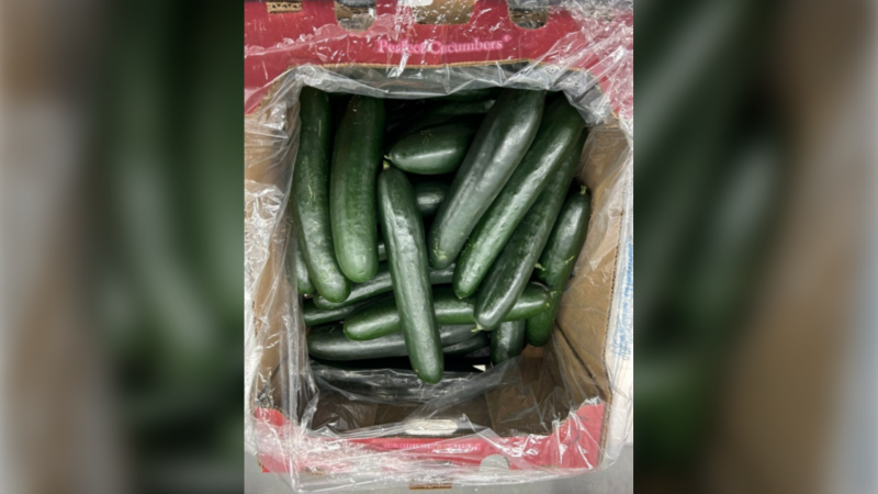 Cucumbers are seen in this photo attached to the CFIA recall notice. (Canadian Food Inspection Agency)