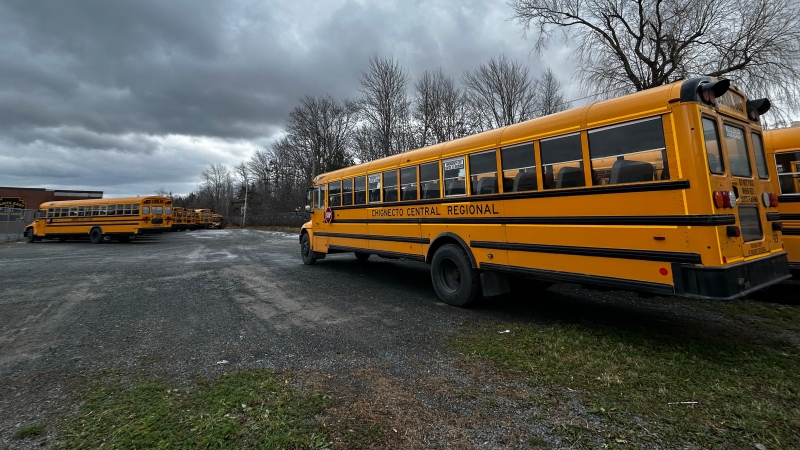 School buses at East Hants Rural High School in Milford, N.S., are pictured. (CTV Atlantic/Jonathan MacInnis)