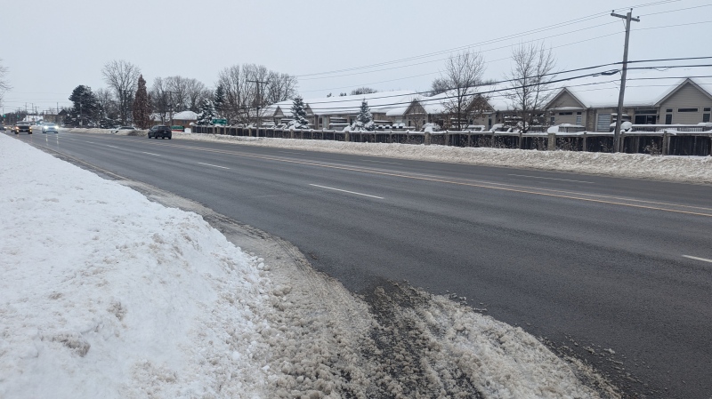 Richmond Street is pictured in Arva, December 6, 2024 (Joel Merritt/CTV News London)