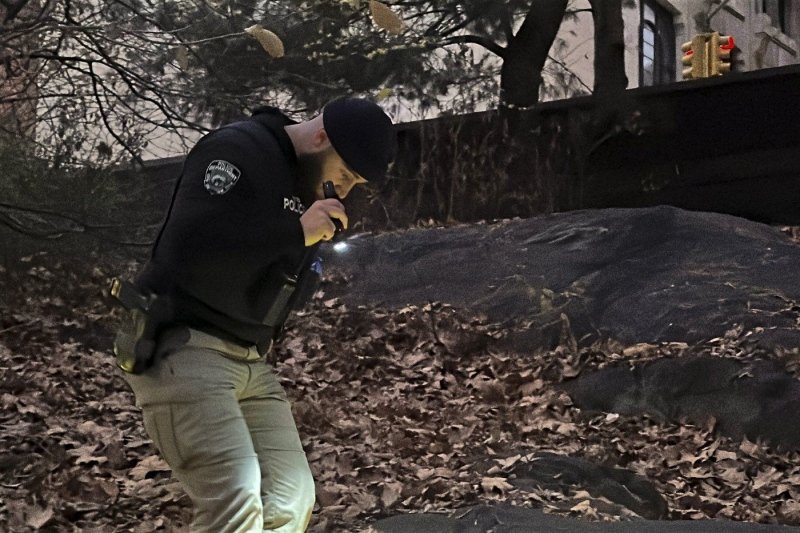 A New York City Police officer walks through brush and foliage in Central Park near 64th Street and Central Park West, Friday, Dec. 6, 2024, in New York. (AP Photo/Ted Shaffrey)