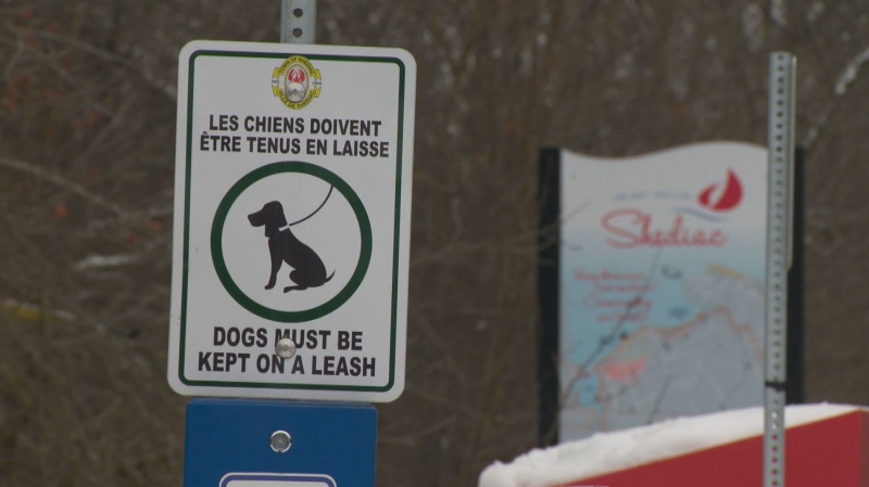 The Town of Shediac is proposing a bylaw to limit the amount of pets in homes. (Source: CTV News Atlantic)