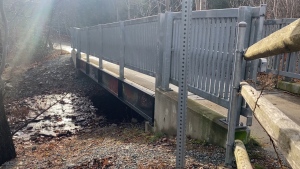 Chain of Lakes Trail in Halifax is pictured. (Source: Hafsa Arif/CTV News Atlantic)