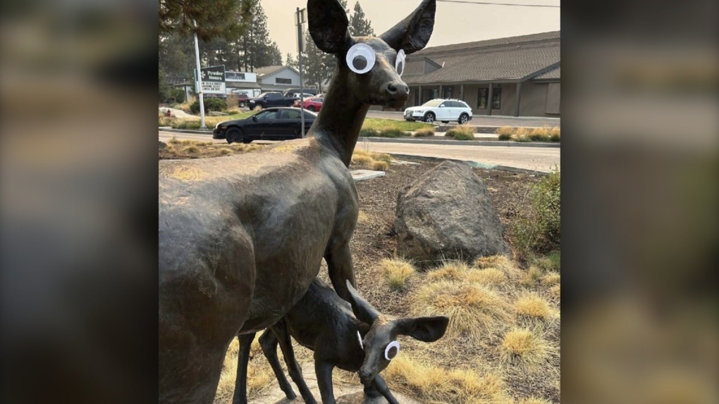 Googly eyes, Bend, Oregon public art