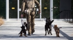 RCMP Cpl. Mike Jordan and his police service dog Lucy lead puppies that will become RCMP police dogs into B.C. RCMP Headquarters, in Surrey, B.C., Thursday, March 11, 2021. THE CANADIAN PRESS/Darryl Dyck
