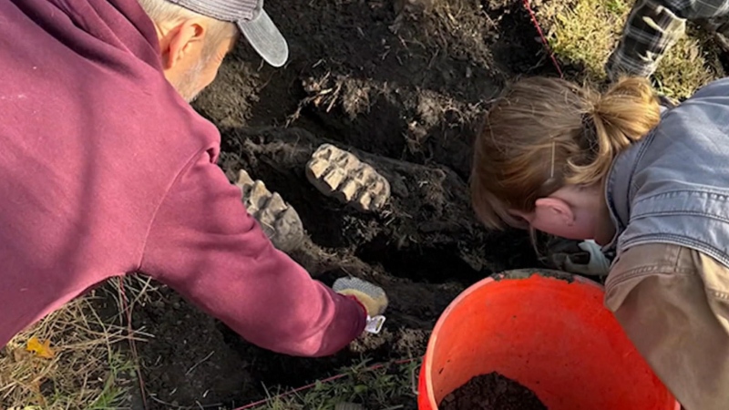 Fossil found in New York backyard