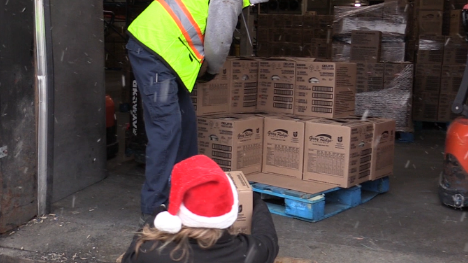 Eggs farmers donate over 300 dozen eggs to the Listowel Salvation Army. Dec. 18, 2024. (Scott Miller/CTV News London)