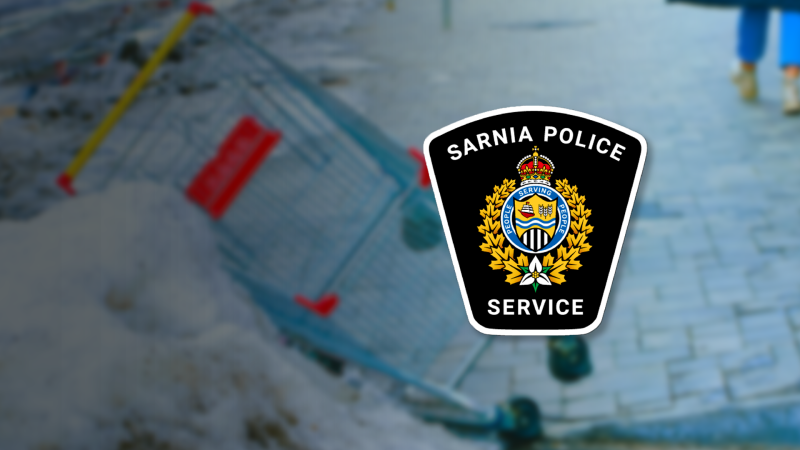 (Source: Sarnia Police Service, Anton Vakhrushev/iStock/Getty Images Plus)