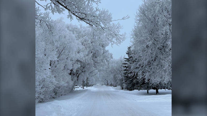 A winter wonderland on a path in Manitou, Man. on Dec. 23, 2024. (Tracey Crawford)