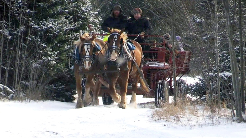 Embracing winter weather with outdoor fun