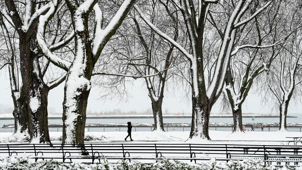 A person is seen walking through the snow covered trees on the boardwalk overlooking Lake Ontario in Toronto on Tuesday, December 1, 2020. THE CANADIAN PRESS/Nathan Denette