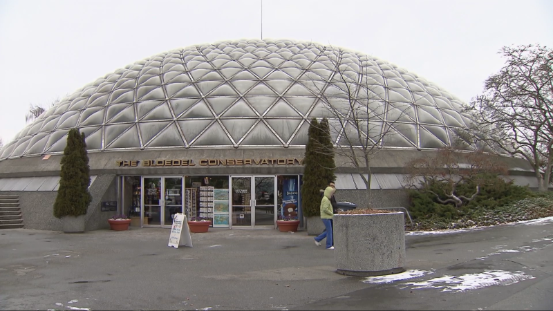 Queen Elizabeth Park’s Bloedel Conservatory will re-open Jan. 4 after being closed for over two months. 