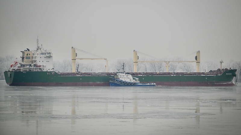 A tugboat tries to release the MV Maccoa after it ran aground in the St. Lawrence River in Vercheres, Que., Friday, Dec. 27, 2024. (Graham Hughes / The Canadian Press)