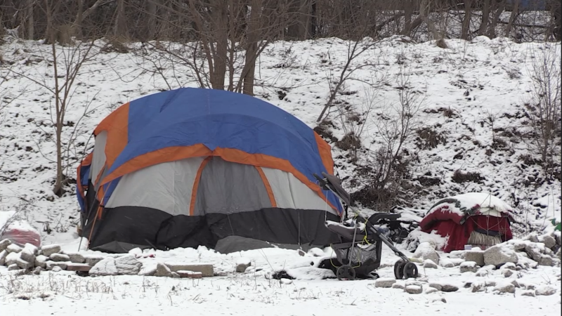 A tent encampment in Watson Street Park (Daryl Newcombe/CTV News London)