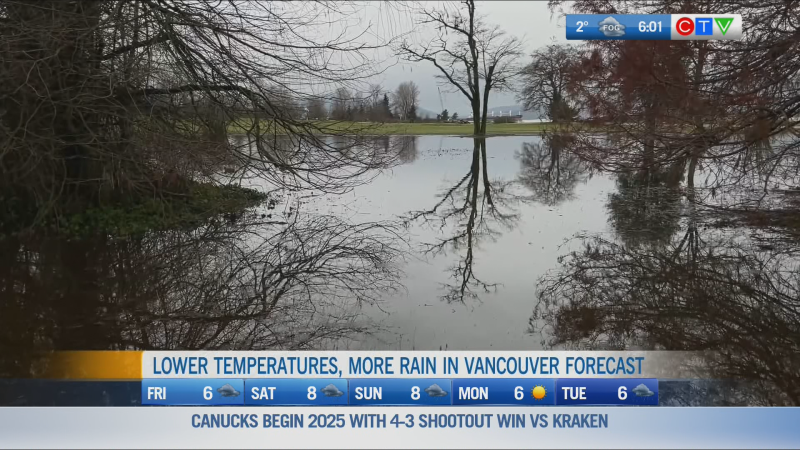 According to Environment Canada, 2024 saw more downpour than any other year this century, with it raining over 20 times last month alone. 