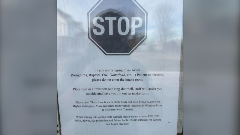 A notice posted on the door at Wings Rehab Centre in response to cases of avian flu in the centre (Source: Wings Rehab Centre)