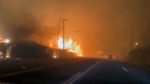 A scene from the Pacific Coast Highway in Los Angeles on Jan. 7, 2025. (Source: Alexandra Datig via Storyful)