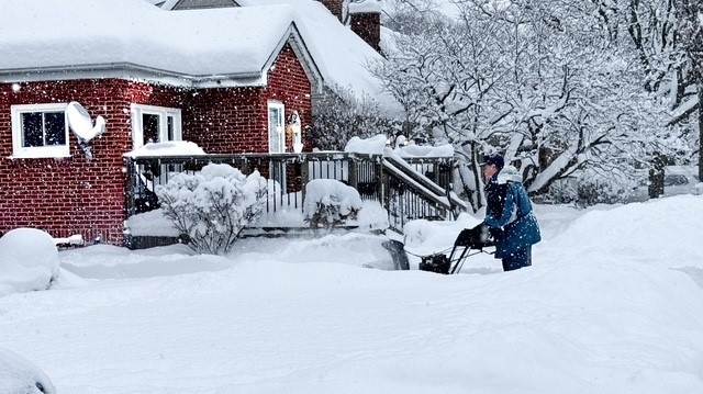 A man blows out his Hickson Street driveway in London, Jan. 8, 2025 (Source: Jennifer Kirk)