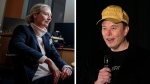 Alice Weidel, Elon Musk