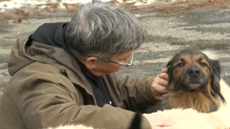 Kent County Animal Shelter to close