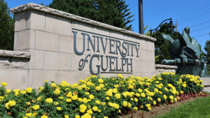 Gastroenteritis at the University of Guelph: 190 students reportedly sick