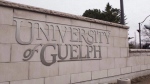 The University of Guelph in Guelph, Ont., is shown on Friday, March 24, 2017. THE CANADIAN PRESS/Hannah Yoon