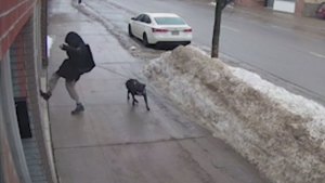 A surveillance video photo of a male suspect kicking the front window at Grocer 4 Good on Gore Street in Sault Ste. Marie, Ont., on December 30, 2024. (Crime Stoppers of Sault Ste. Marie & Algoma District)