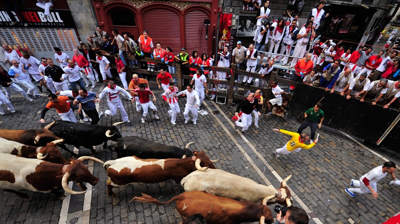 Running with bulls in Spain