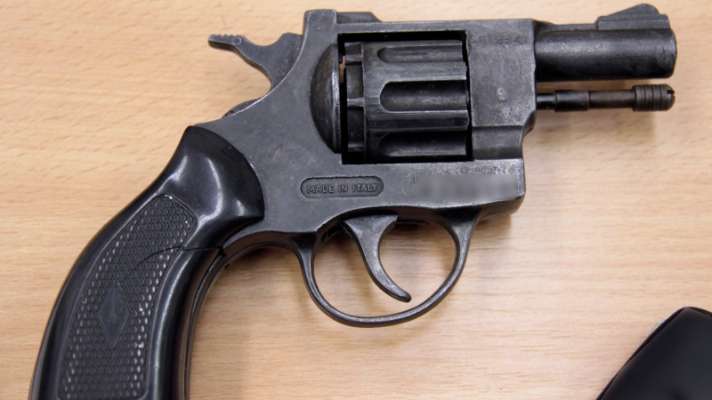 This undated handout picture showing a revolver was provided to the media by Czech Police in Ostrava, Saturday, Aug. 18, 2012. (AP / CTK, Czech Police)